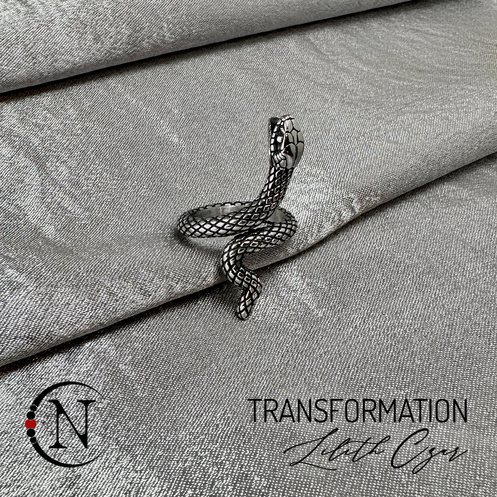 Transformation Ring by Lilith Czar- Stainless Steel