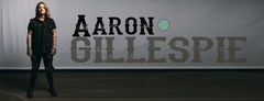 Aaron Gillespie