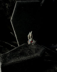 Ring ~ Fading Out of View by Craig Mabbitt