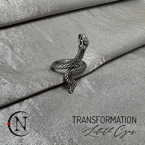 Transformation Ring by Lilith Czar- Stainless Steel