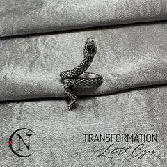 Transformation Ring by Lilith Czar- Stainless Steel