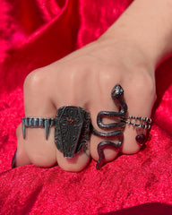 Follow Me NTIO Ring by Remington Leith